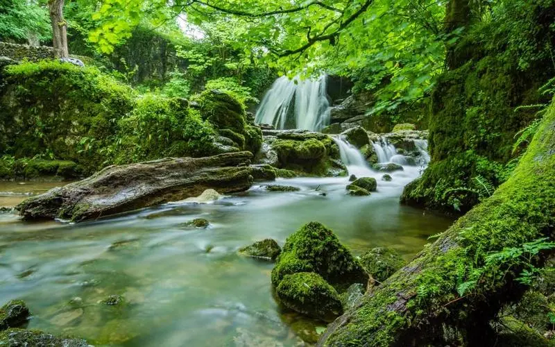 高质量智能
